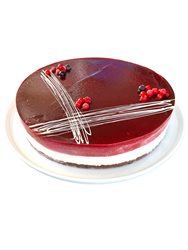 קסיס וניל קוטר 26