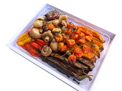 פלטת אנטי פסטי